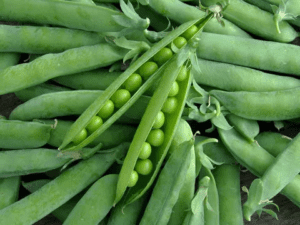 Green Peas