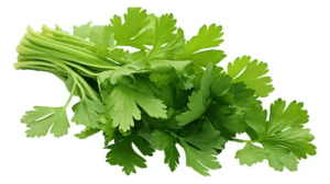 Coriander Leaves (Dhania)